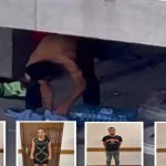 image-c3905e5654a54618ca35aaf04ab3457a