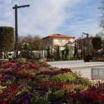 image-hesenriz-parki