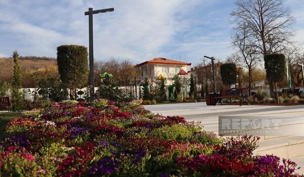 image-hesenriz-parki