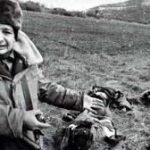 image-images-1
