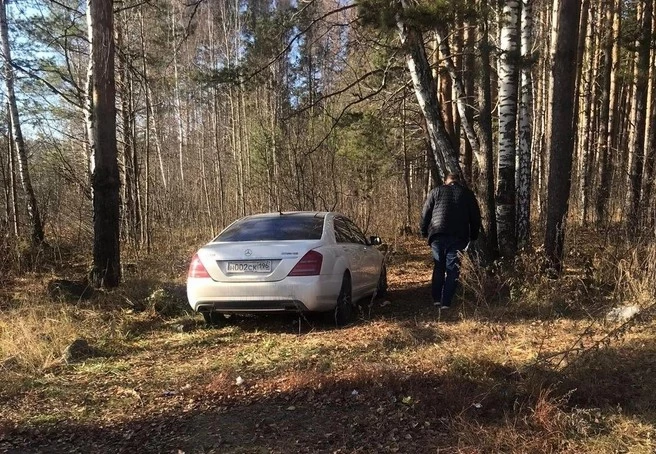 image-bed7fe742bdd669ad686903045204552