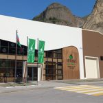 image-1725454961324379089_1200x630