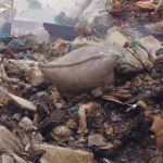 image-1763295820-5100505bfadac3edb3ea774894e0787cbb49a90b