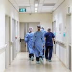 image-1763297735-xestexana