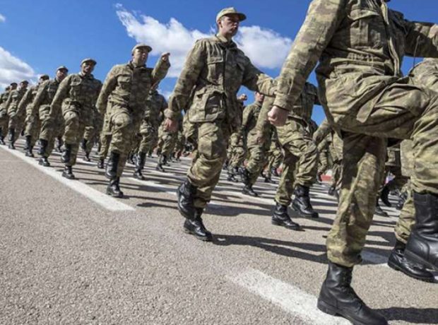 image-1763641686-herb-1