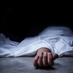 image-1754112994-1737043113_meyit7