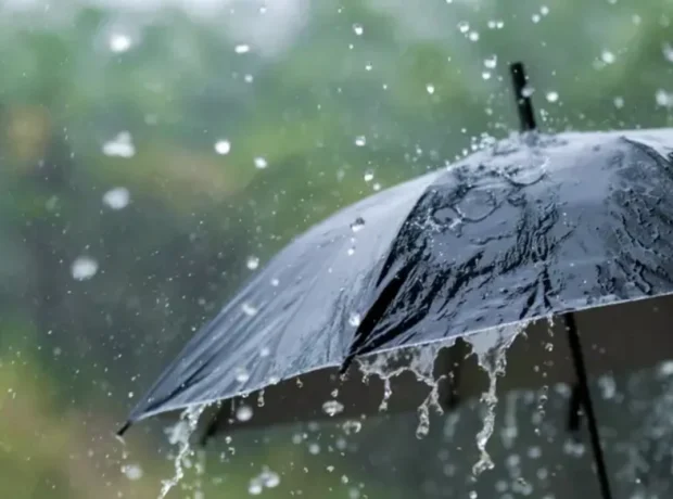 image-1765435851-ypdhjkaobnphqfzbtpjuzun6n46mdh7cpxyrjtaa_1200