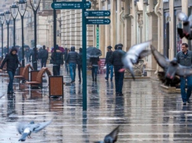 image-65b01efd4974e00dd703e7fe2145d4ea