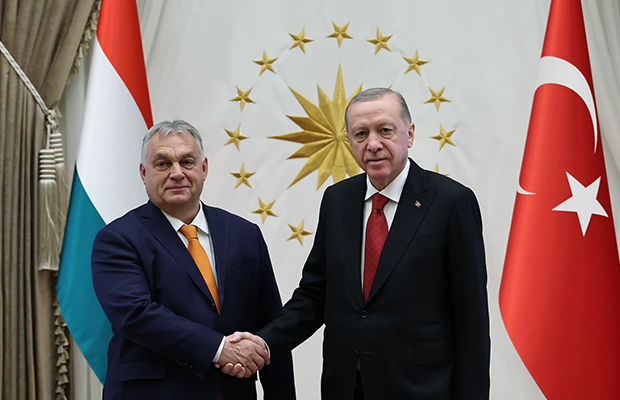 image-8f45fda614abd12a94a8b05ba19caf1f