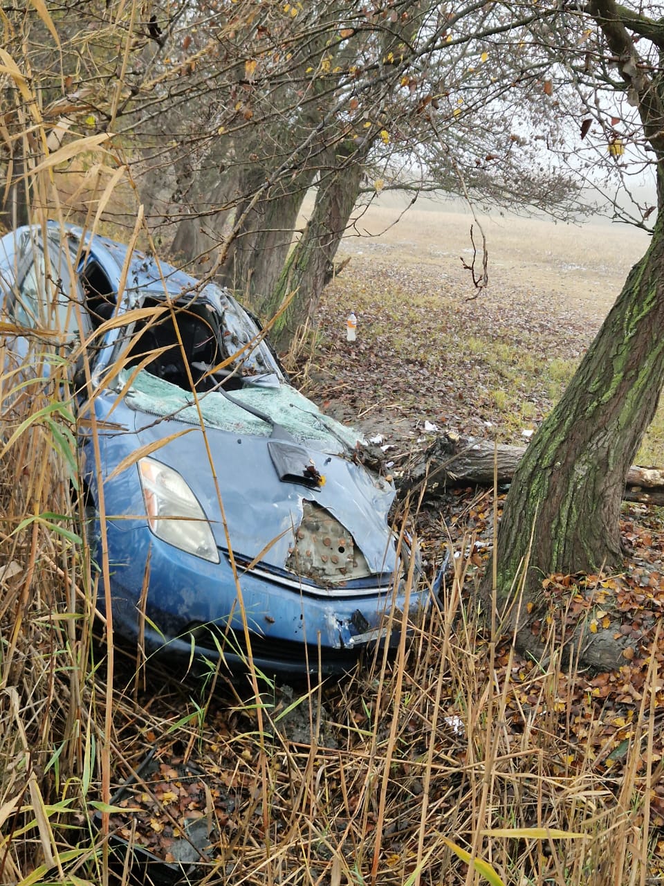 image-img-20251209-wa0015