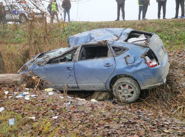 image-img-20251209-wa0025