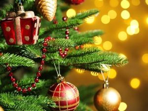 image-img-20251231-wa0079