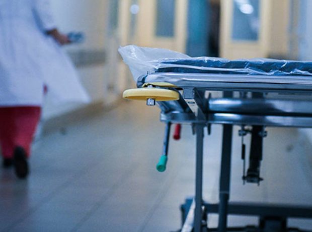 image-1738485618-xestexana__1_