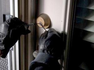 image-1769666538-697af6f424532697af6f42453317696662925847787b5c360e583f1832466dc067f3