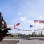 image-42c6d476bd346d521ec316e9d7316a57