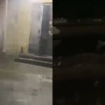 image-e2af9cdd4e260fc670ffc0251168632f