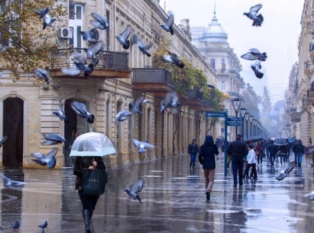 image-e33153a27a030827f705fb62d556bfe8