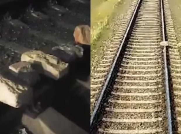 image-31246022c83da81ca23a7cc4cfd9caac