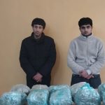 image-d950ba0c82e3df9f2256f794c5e28692