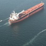 image-owl_detail_620_8277eb52cc3e6912ad131f2dfe9c114b