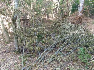 image-img-20260810-wa0118