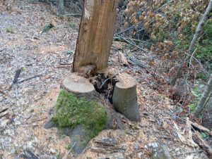 image-img-20260810-wa0122