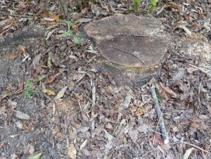 image-img-20260810-wa0125
