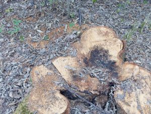 image-img-20260810-wa0127