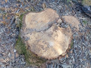 image-img-20260810-wa0132