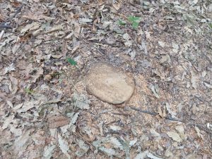 image-img-20260810-wa0134