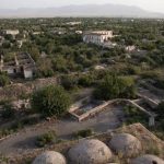 image-images-1