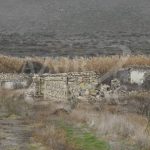 image-images